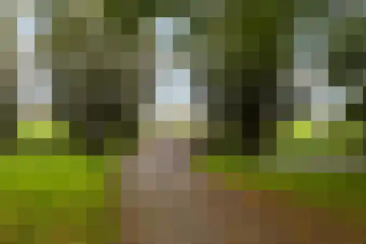 Valreep 20 A Amstelveen thumbnail 37