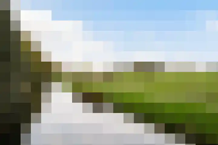 Valreep 20 A Amstelveen thumbnail 38