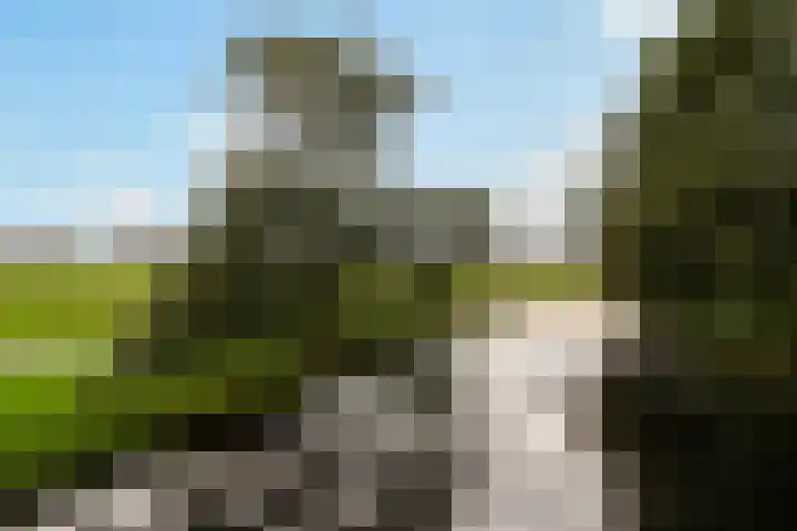 Valreep 20 A Amstelveen thumbnail 39