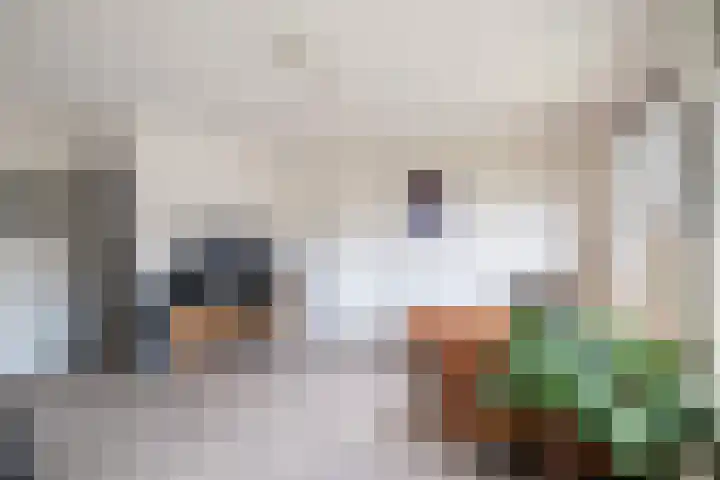 Valreep 20 A Amstelveen thumbnail 7