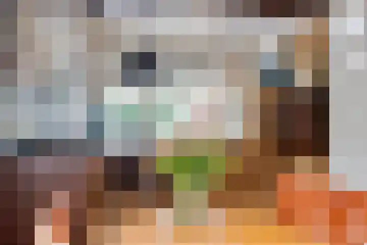 Valreep 22 Veenendaal thumbnail 17