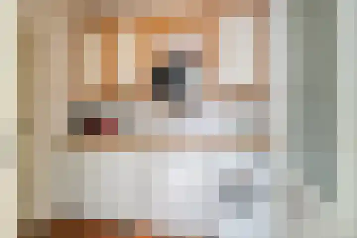 Valreep 22 Veenendaal thumbnail 20