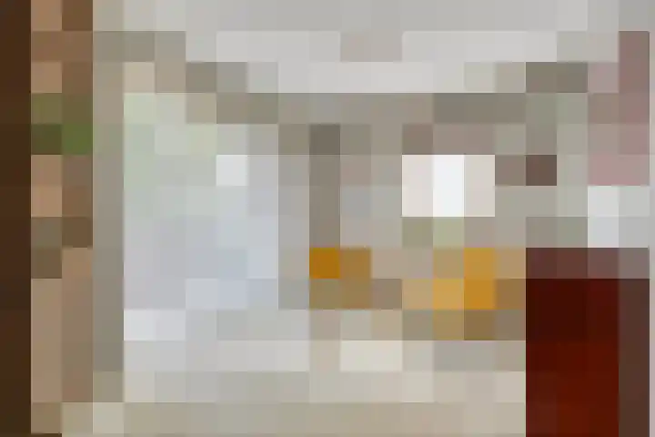 Valreep 22 Veenendaal thumbnail 24