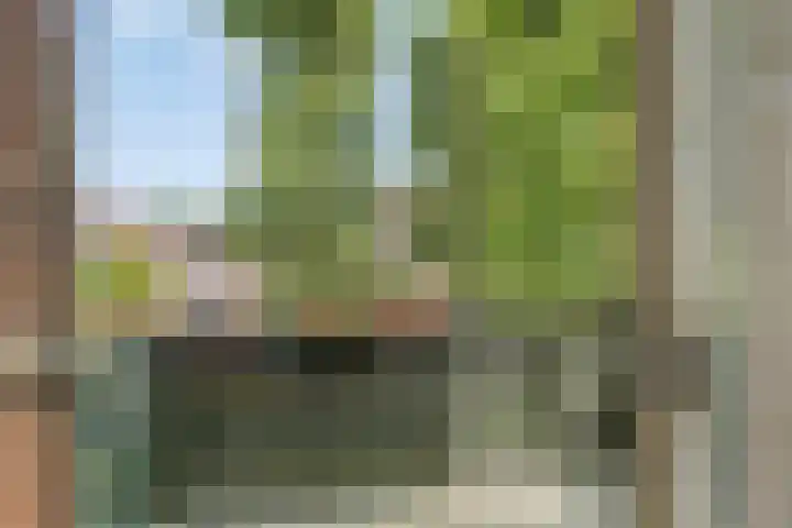 Valreep 22 Veenendaal thumbnail 26