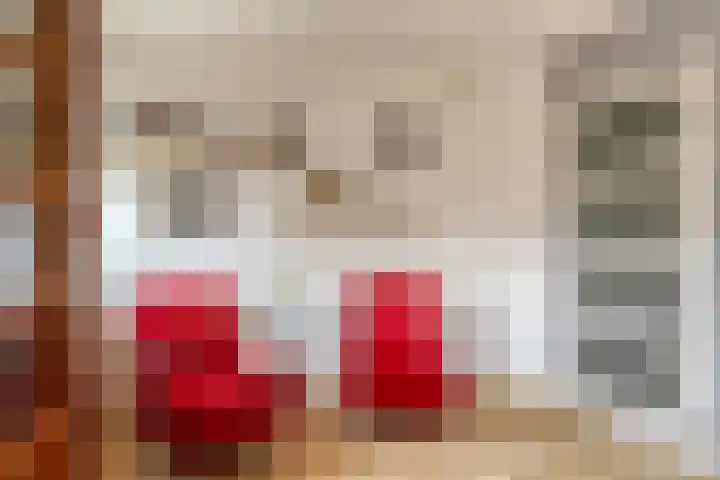 Valreep 22 Veenendaal thumbnail 35