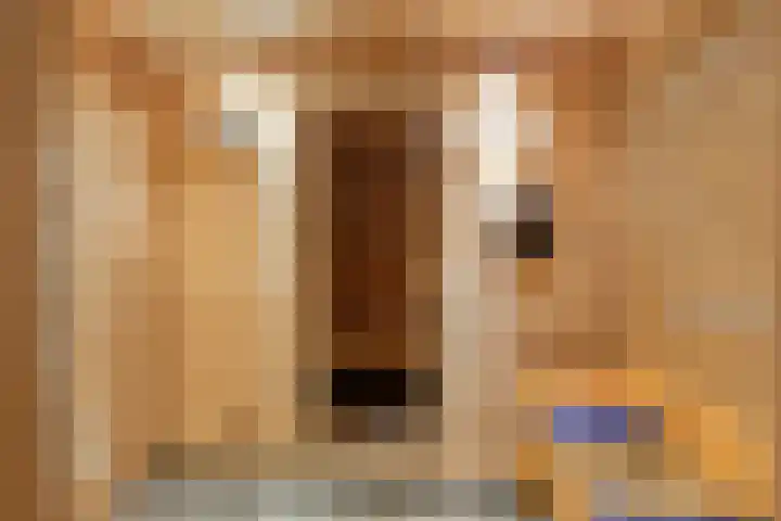 Valreep 22 Veenendaal thumbnail 4