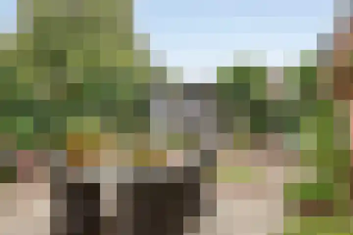 Valreep 22 Veenendaal thumbnail 51