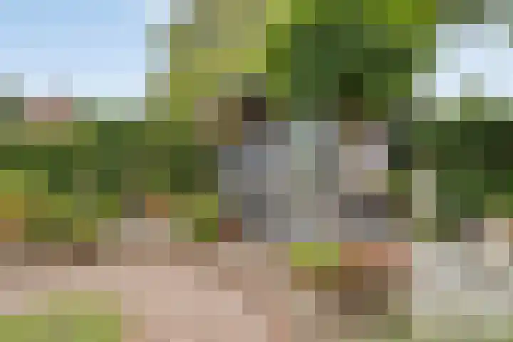 Valreep 22 Veenendaal thumbnail 52