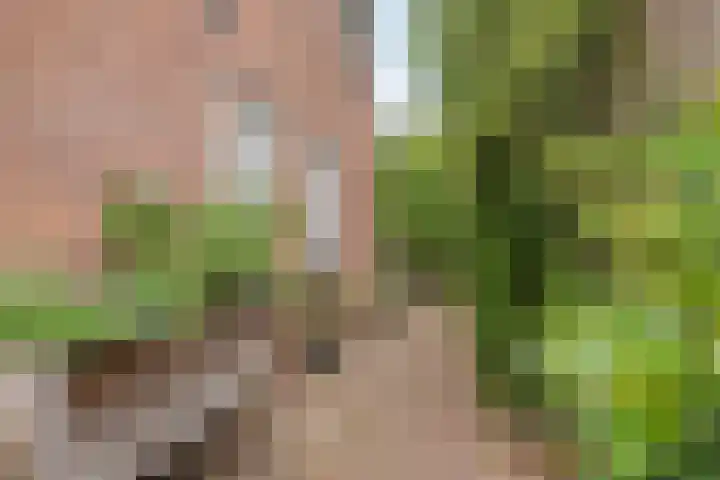 Valreep 22 Veenendaal thumbnail 55