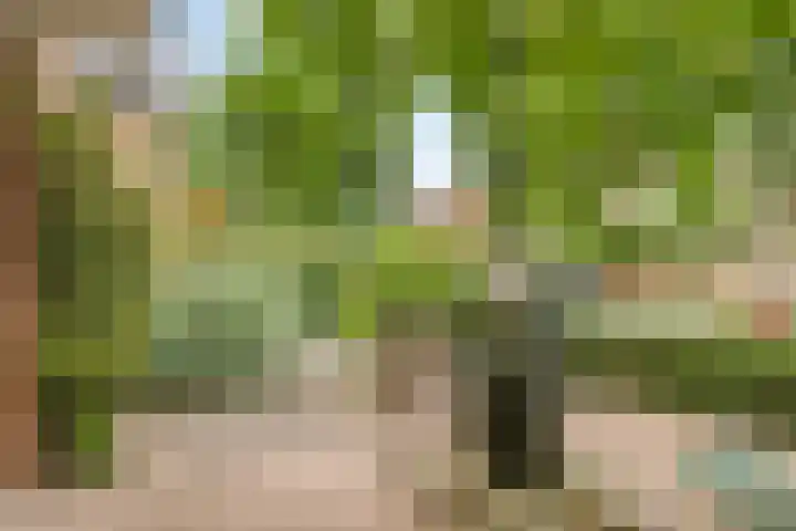 Valreep 22 Veenendaal thumbnail 56