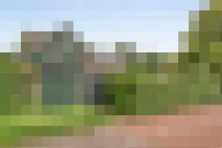 Valreep 22 Veenendaal thumbnail 65