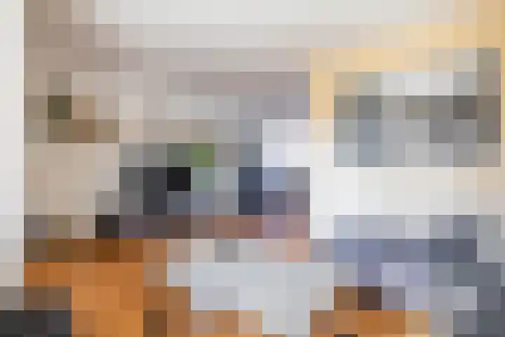 Valreep 29 Groningen thumbnail 12
