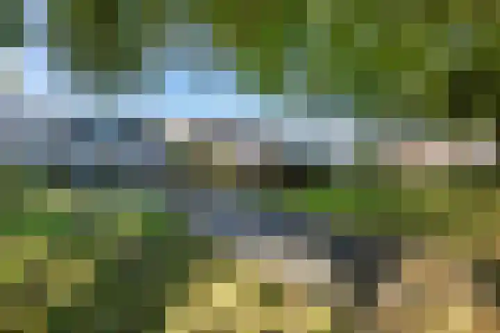 Valreep 29 Groningen thumbnail 47