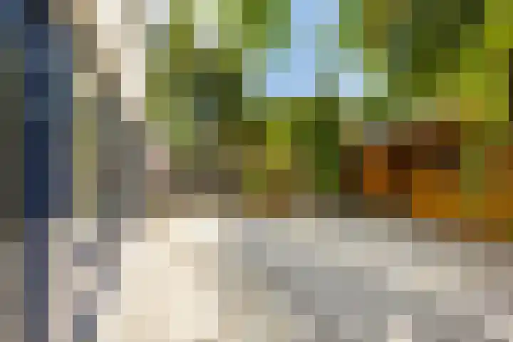 Valreep 3 Groningen thumbnail 15