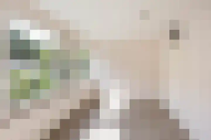 Valreep 3 Groningen thumbnail 23