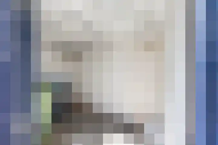 Valreep 3 Groningen thumbnail 28