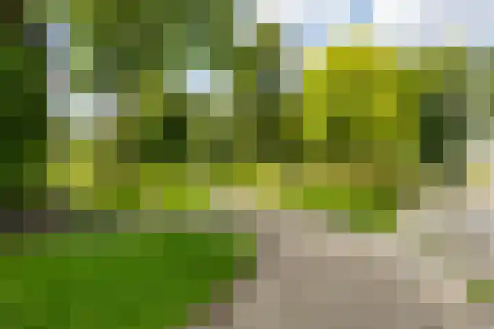 Valreep 3 Groningen thumbnail 31