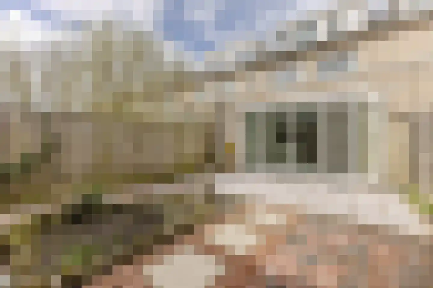Valreep 32 Amstelveen thumbnail 18