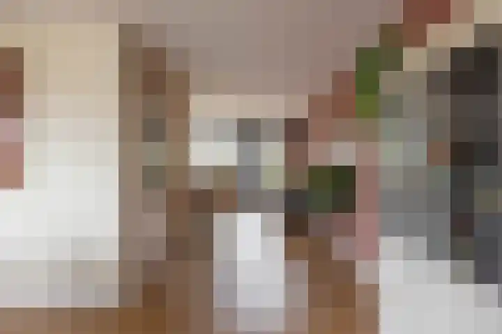 Valreep 4 Groningen thumbnail 11