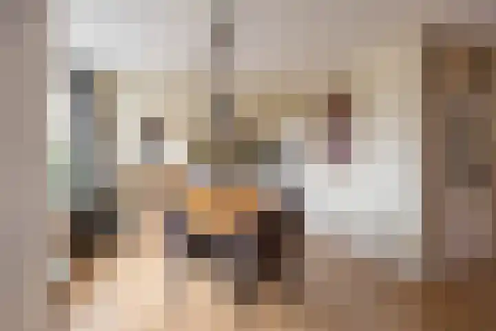 Valreep 4 Groningen thumbnail 12