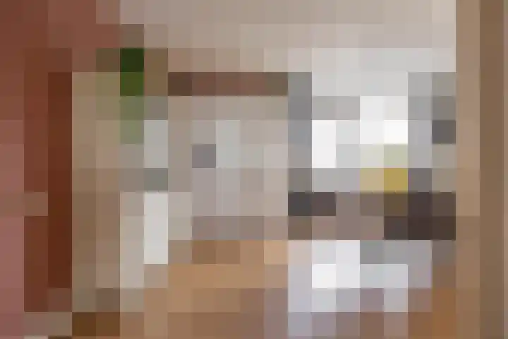 Valreep 4 Groningen thumbnail 17