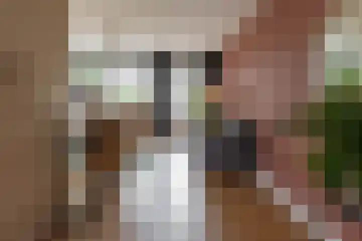 Valreep 4 Groningen thumbnail 18
