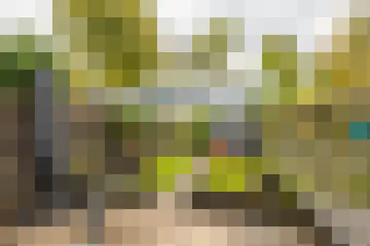 Valreep 4 Groningen thumbnail 37