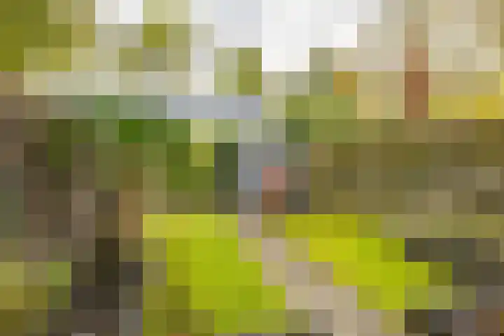 Valreep 4 Groningen thumbnail 38
