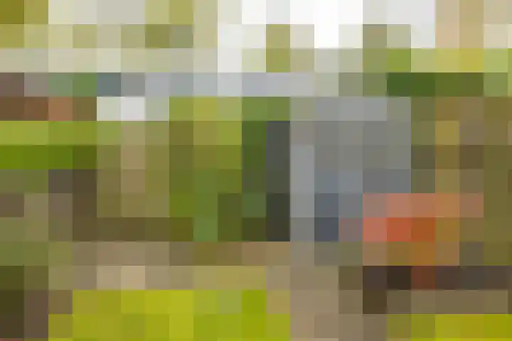 Valreep 4 Groningen thumbnail 39