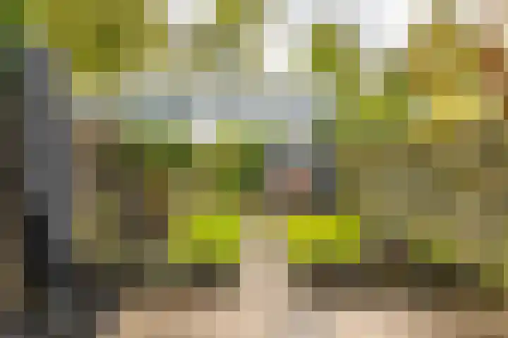 Valreep 4 Groningen thumbnail 4