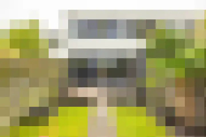 Valreep 4 Groningen thumbnail 40