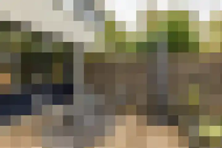 Valreep 4 Groningen thumbnail 42