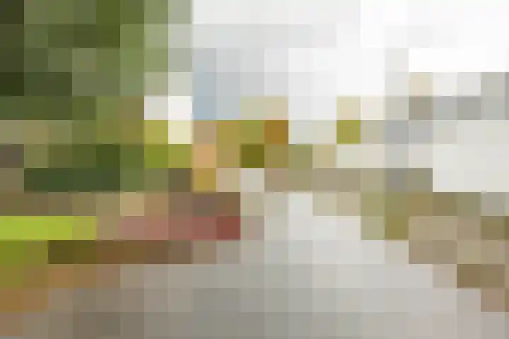 Valreep 4 Groningen thumbnail 45