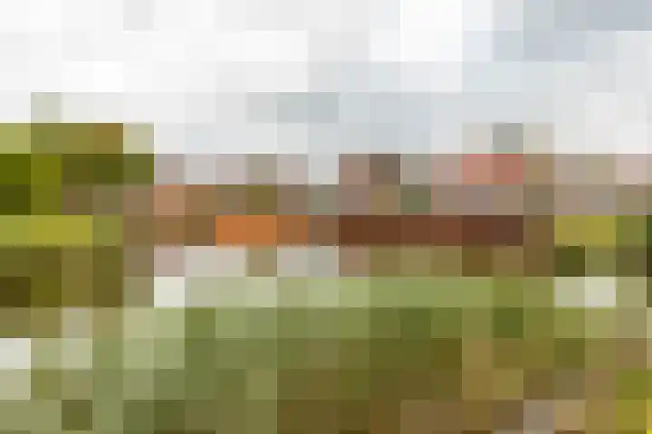 Valreep 4 Groningen thumbnail 46