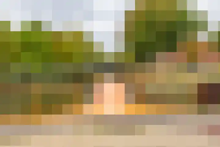Valreep 4 Groningen thumbnail 47