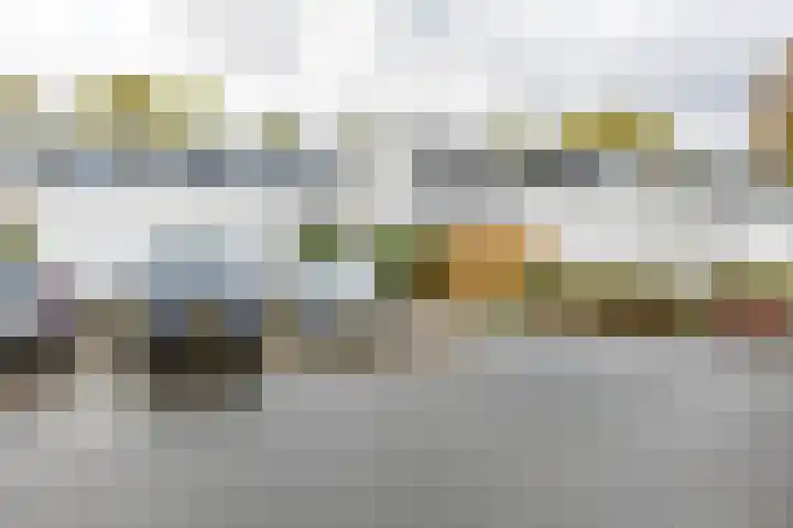 Valreep 4 Groningen thumbnail 6