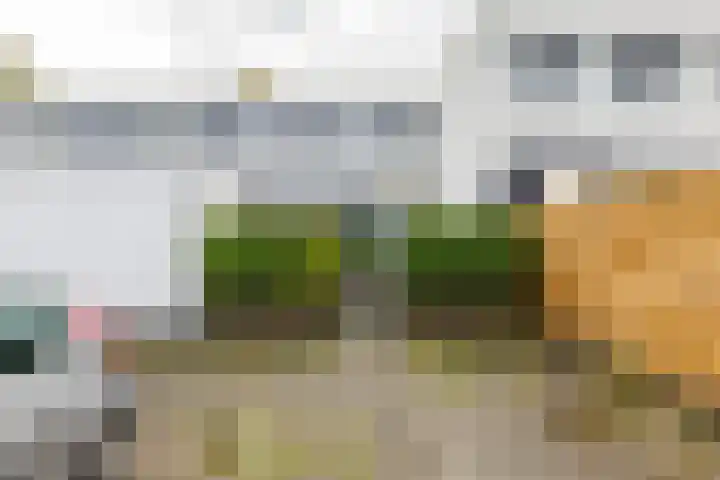 Valreep 4 Groningen thumbnail 7