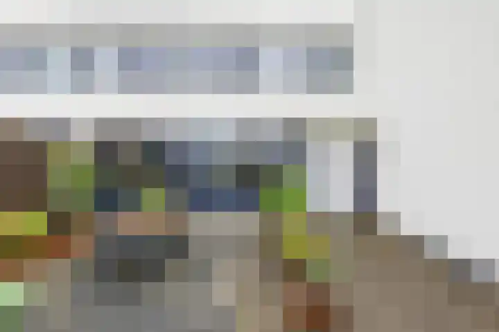 Valreep 4 Groningen thumbnail 8