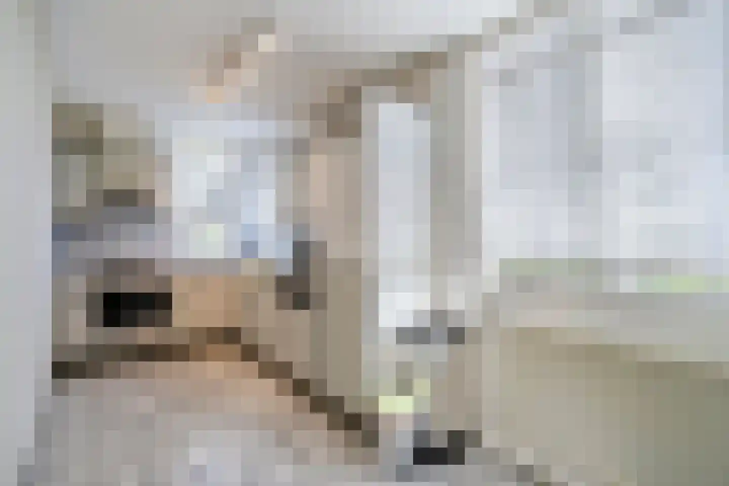 Valreep 50 Amstelveen thumbnail 15