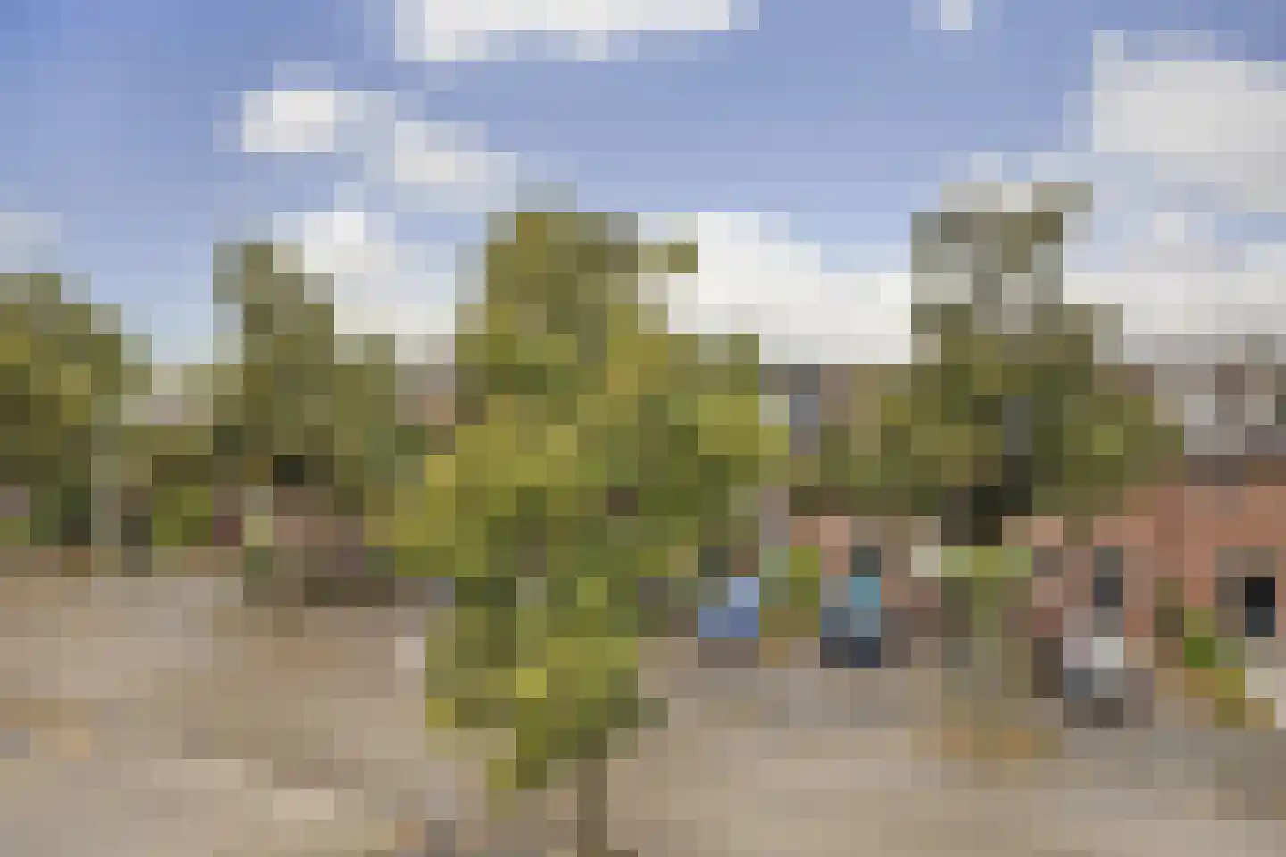 Valreep 6 A Amstelveen thumbnail 21