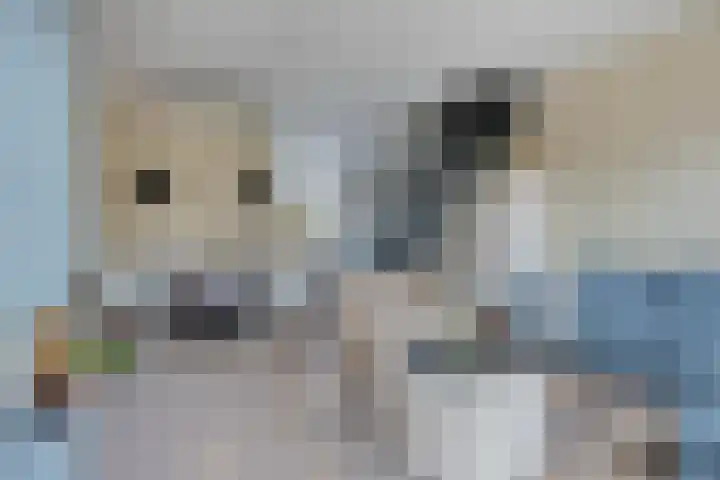 Valreep 9 Veenendaal thumbnail 10