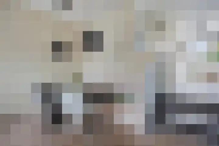 Valreep 9 Veenendaal thumbnail 11