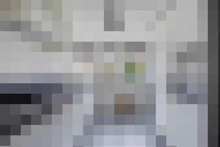 Valreep 9 Veenendaal thumbnail 13