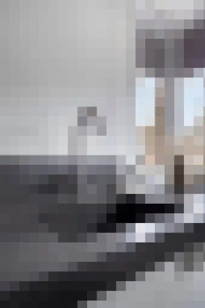 Valreep 9 Veenendaal thumbnail 15