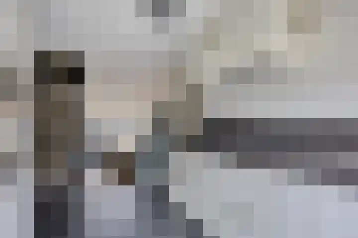 Valreep 9 Veenendaal thumbnail 17