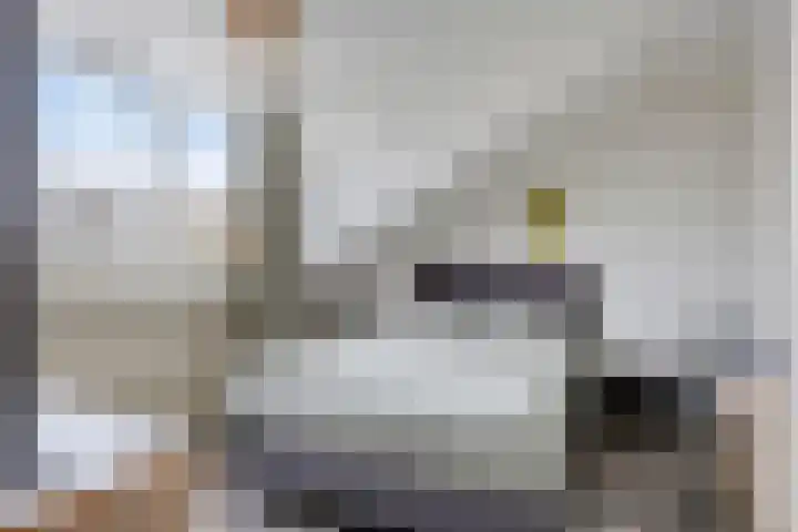 Valreep 9 Veenendaal thumbnail 30