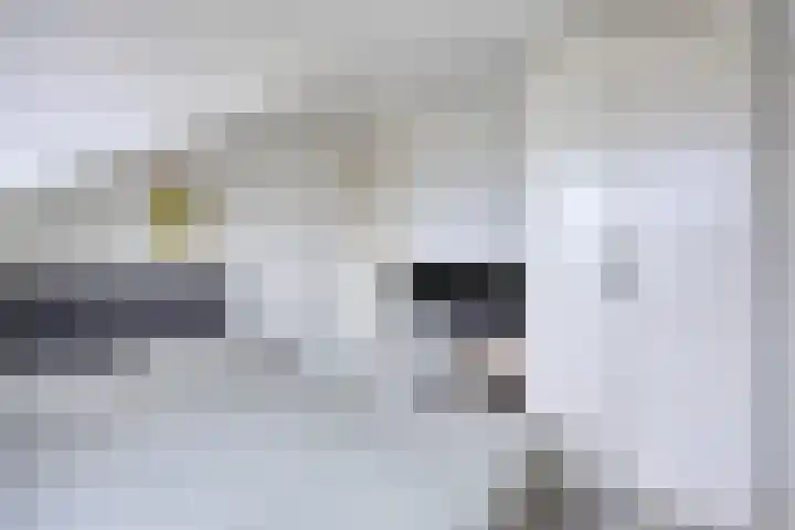 Valreep 9 Veenendaal thumbnail 31