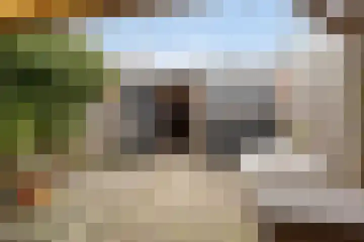 Valreep 9 Veenendaal thumbnail 37