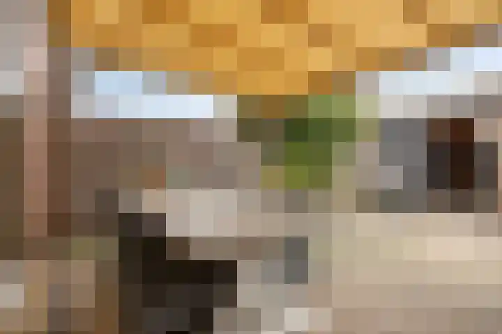 Valreep 9 Veenendaal thumbnail 38