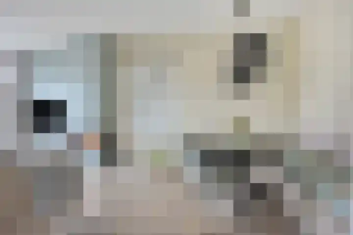 Valreep 9 Veenendaal thumbnail 4